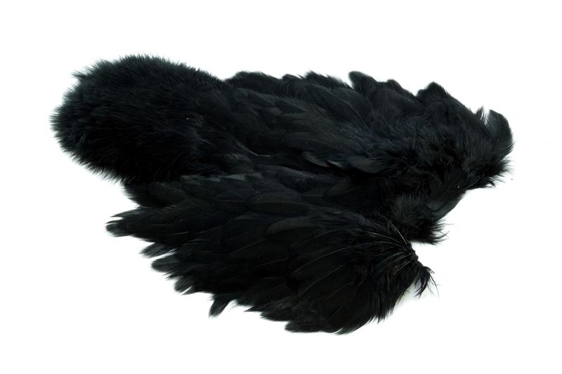 Whiting Brahma Hen SH/C â€“ dealerweb-cms-cd7be204-9c55-4a7a-a585-c4fbe90feed4.jpg