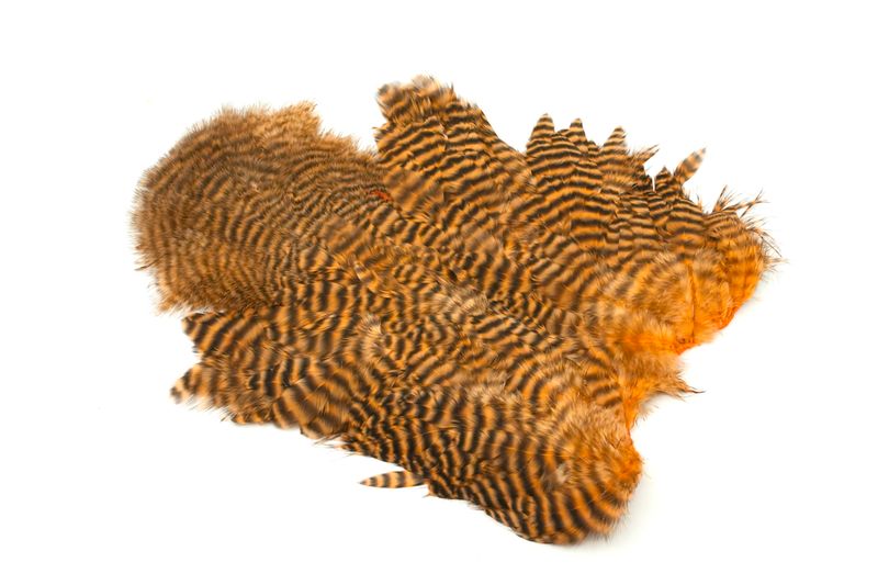 Whiting Rooster SH/C â€“ dealerweb-cms-cdb442ce-3c06-4954-b474-7948136f03f8.jpg