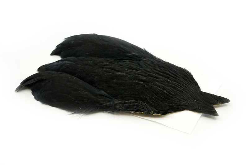 Whiting 4 B's Hen Cape â€“ dealerweb-cms-cec1e448-cd92-4553-b653-98daf64db129.jpg
