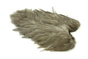 Whiting Rooster Softhackle W Chickabou SH/C - White dyed Dark Dun