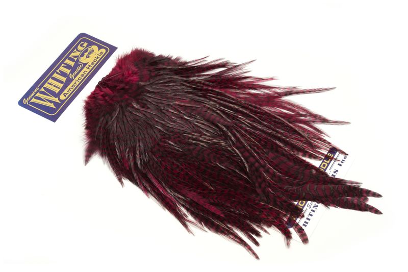 Whiting American Rooster Saddle â€“ dealerweb-cms-d0935ec0-a00b-4ef1-98b8-1cdaf45bae3b.jpg