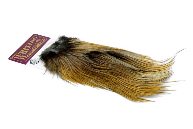Whiting Coq de Leon Rooster Saddle – Silver â€“ dealerweb-cms-d2a9a6b8-d15b-4a53-adad-699d6d683ff9.jpg