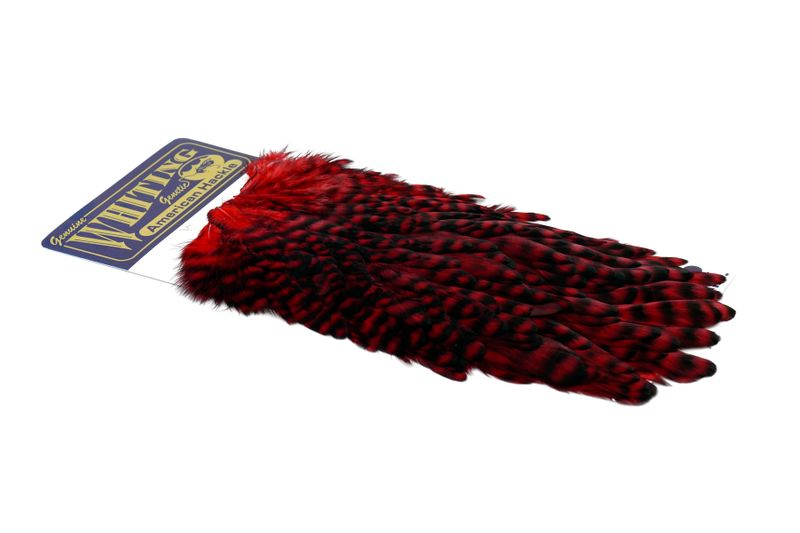 Whiting American Hen Saddle â€“ dealerweb-cms-d2ff37ab-71ce-4dc2-9ad1-4dfe45c10835.jpg