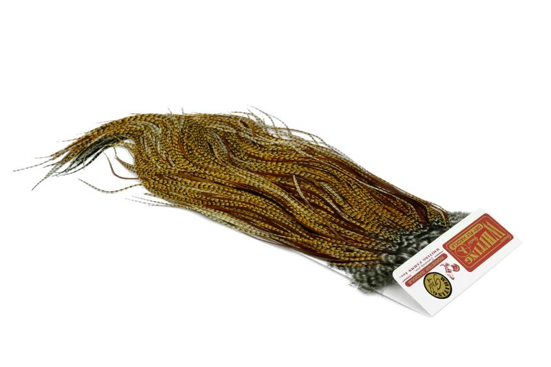 Whiting Rooster Saddle – Gold â€“ dealerweb-cms-d5907417-d040-4e5a-a4e9-6f729c93f3fe.jpg