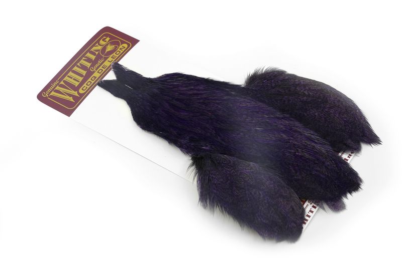 Whiting Coq de Leon Hen Cape â€“ dealerweb-cms-d6332df8-34ac-4bb8-ad4b-23265d5d3f44.jpg