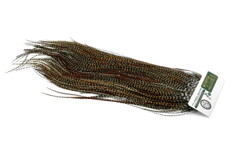 Whiting Hebert Rooster Saddle – Silver â€“ dealerweb-cms-d730c7e2-16d9-469e-965a-2ef54f90894b.jpg