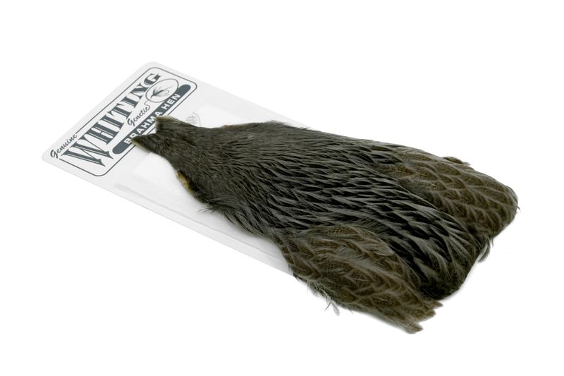 Whiting Brahma Hen Cape â€“ dealerweb-cms-d74505d1-5b68-4674-955c-a823e459366c.jpg