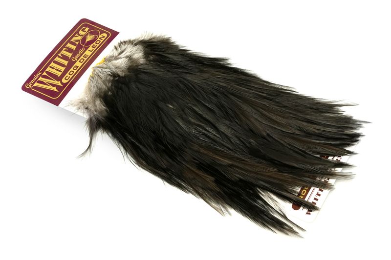 Whiting Coq de Leon Rooster Saddle – Gold â€“ dealerweb-cms-d7bd5e28-dd46-4abe-9b9b-48affa780de9.jpg