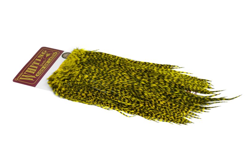 Whiting Coq de Leon Rooster Saddle – Bronze â€“ dealerweb-cms-d931219e-2961-41f7-b7fa-2578f88a9825.jpg