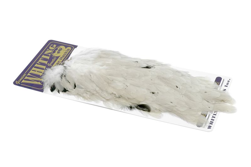 Whiting American Hen Saddle â€“ dealerweb-cms-daf30fcd-f062-4212-b23e-4ba9db844083.jpg