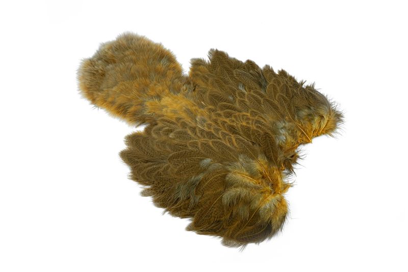 Whiting Brahma Hen SH/C â€“ dealerweb-cms-dbec7f1a-0c8b-4c77-88ad-28661de333f2.jpg