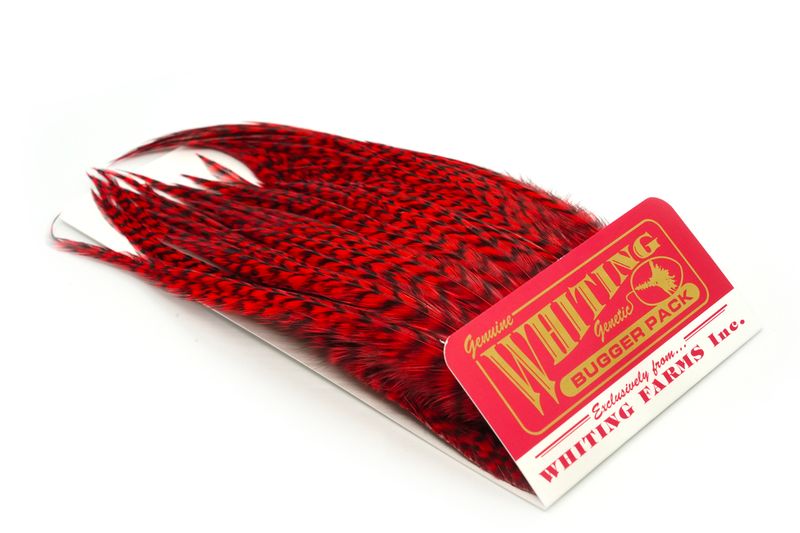 Whiting Bugger Pack â€“ dealerweb-cms-de6e02db-f073-41eb-aaf5-545fff27b355.jpg