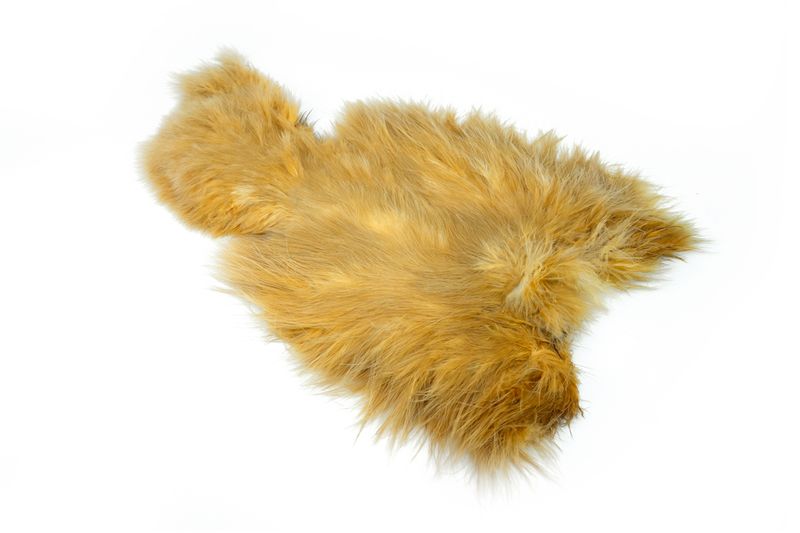 Whiting Spey SH/C â€“ dealerweb-cms-dea113e7-4617-4d29-b6b2-6ef5adbccd0e.jpg