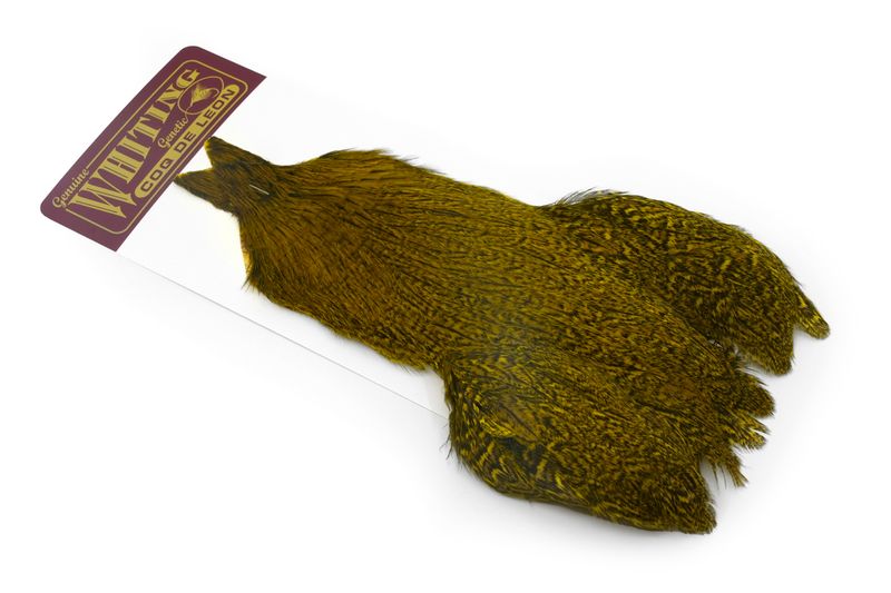 Whiting Coq de Leon Hen Cape â€“ dealerweb-cms-e0bdc09a-df0f-4a46-9d2e-974ed188b7a6.jpg