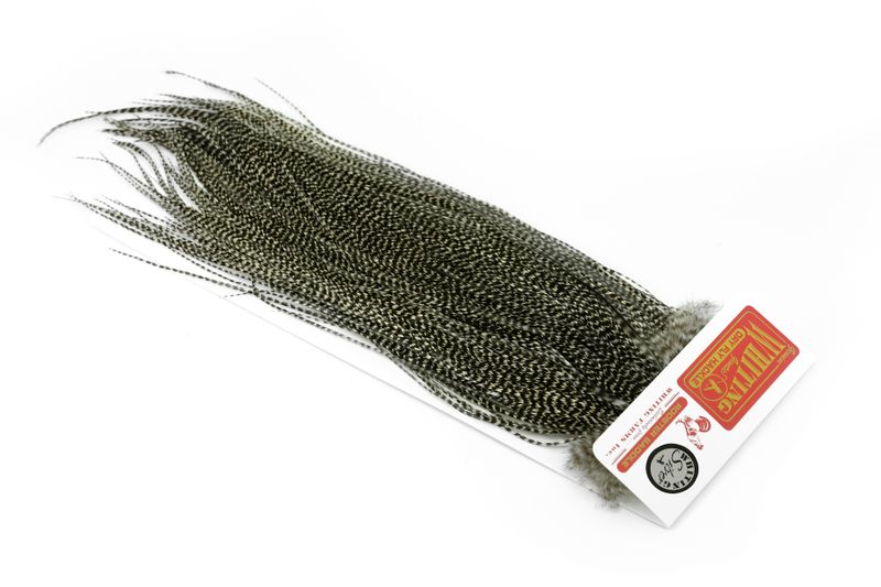 Whiting Silver Midge Saddle â€“ dealerweb-cms-e0d8b761-60ae-40a9-a467-335c6705647e.jpg