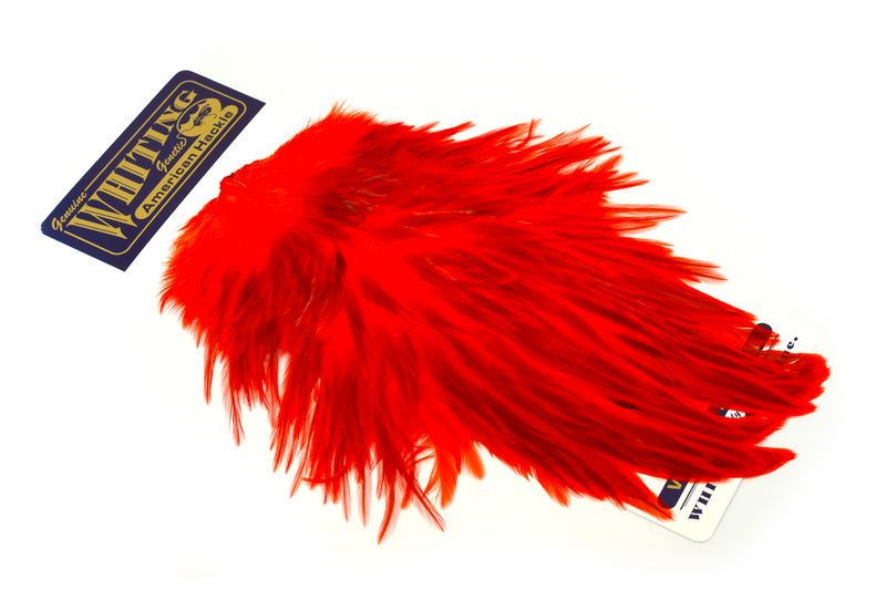 Whiting American Rooster Saddle â€“ dealerweb-cms-e4c5b64a-81c4-48aa-9414-492e50199a10.jpg