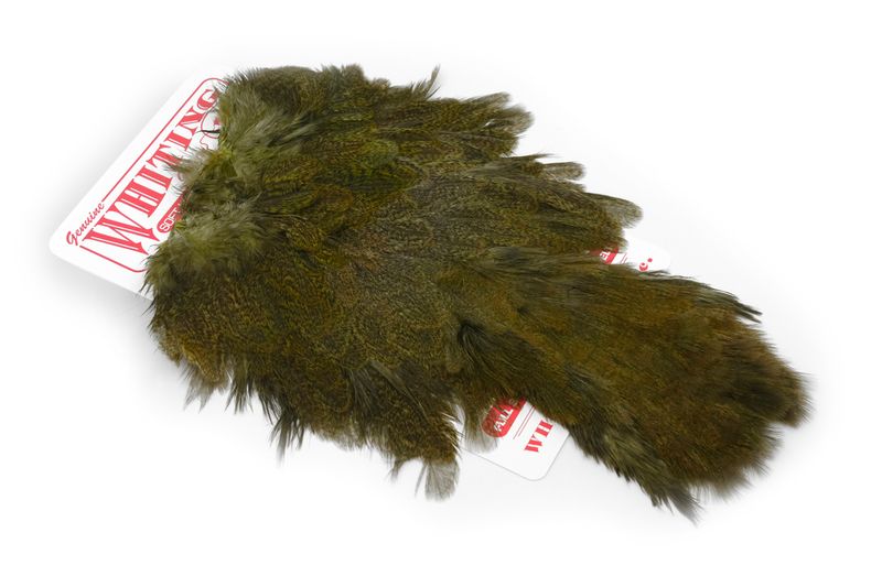 Whiting Coq De Leon Hen SH/C â€“ dealerweb-cms-e5cb26e9-77ff-46a4-95e6-d9e4b6e276a9.jpg