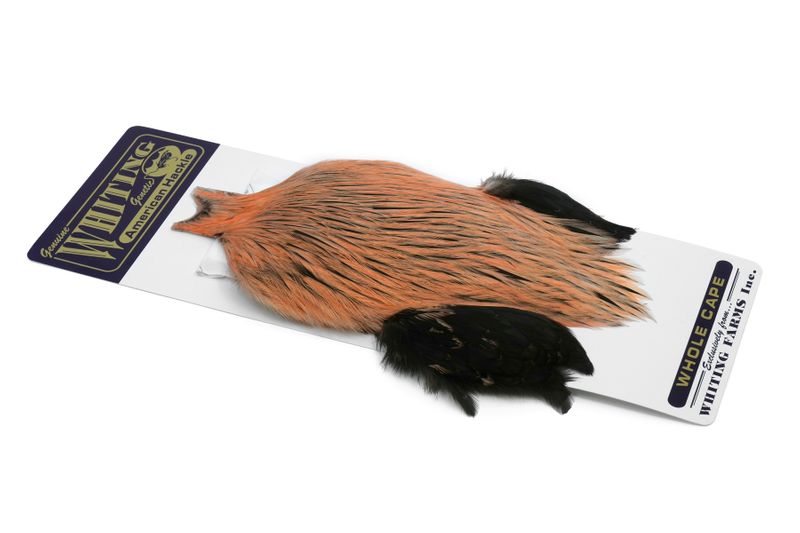 Whiting American Rooster Cape â€“ dealerweb-cms-e6c7e773-2cd9-4c36-8812-08c05740b8fa.jpg
