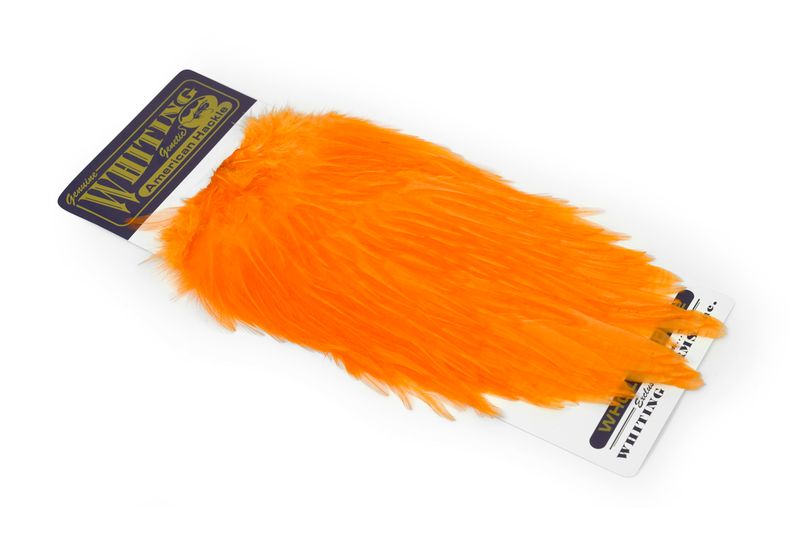 Whiting American Rooster Saddle â€“ dealerweb-cms-e709574b-9fbd-45da-85bd-aed527806c18.jpg