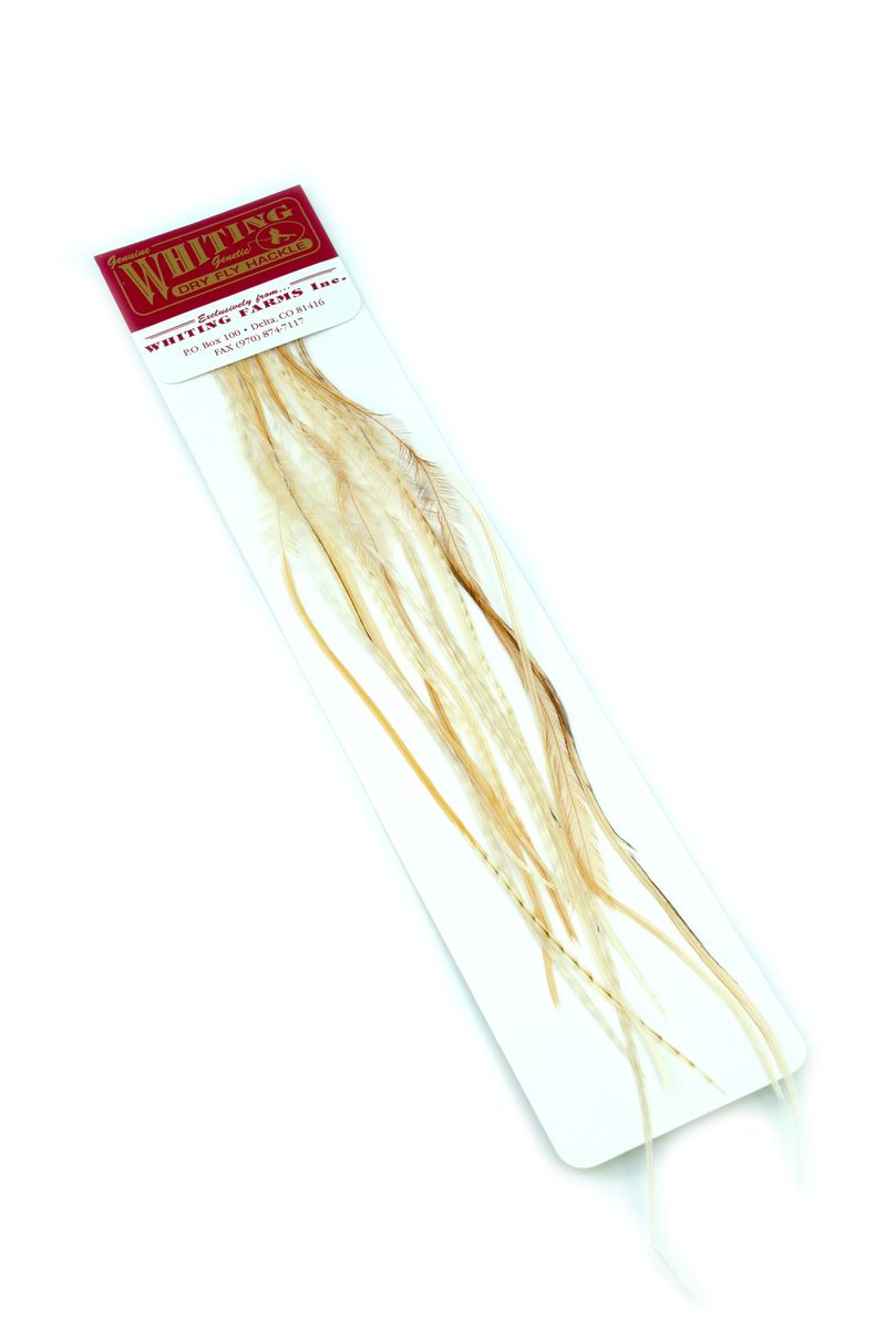 Whiting 100-pk – Size 16 â€“ dealerweb-cms-e8f2c404-8e2e-41c8-bb47-24810602c1a9.jpg