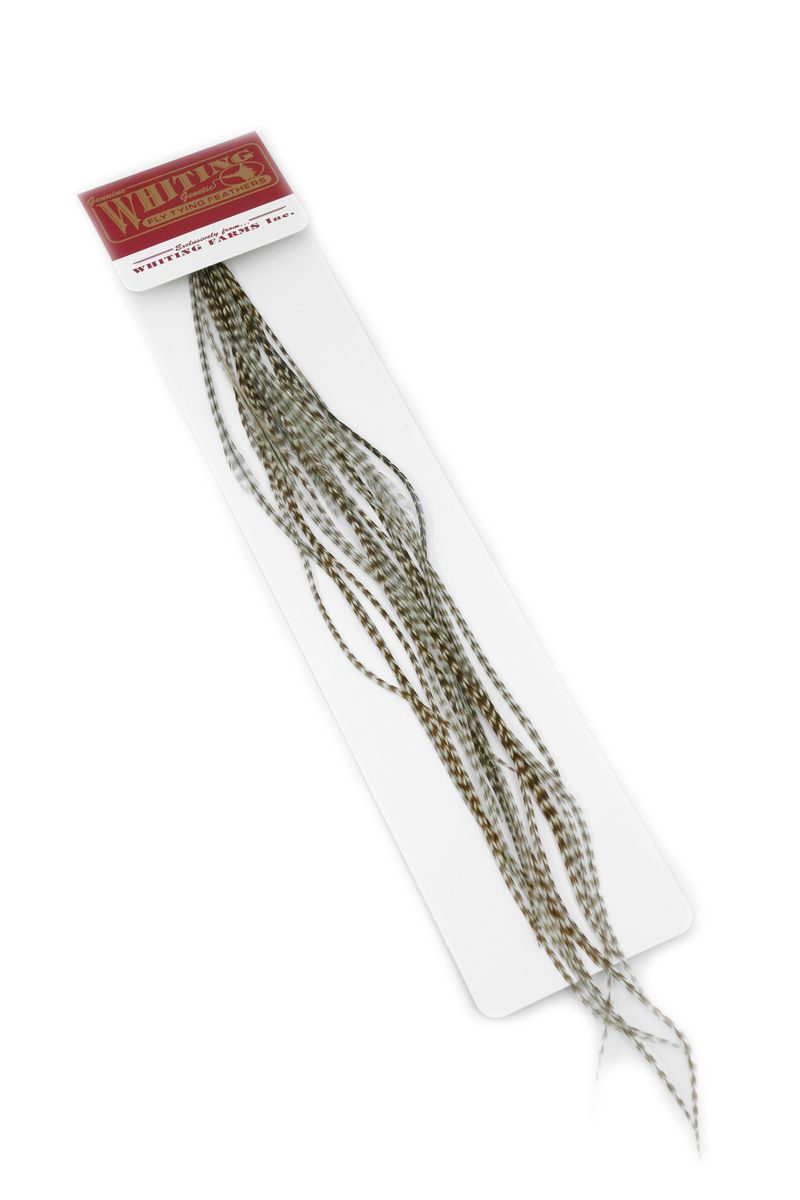Whiting 100-pk – Size 16 â€“ dealerweb-cms-e9231397-0e80-4d1d-ae76-387a4c2cb170.jpg