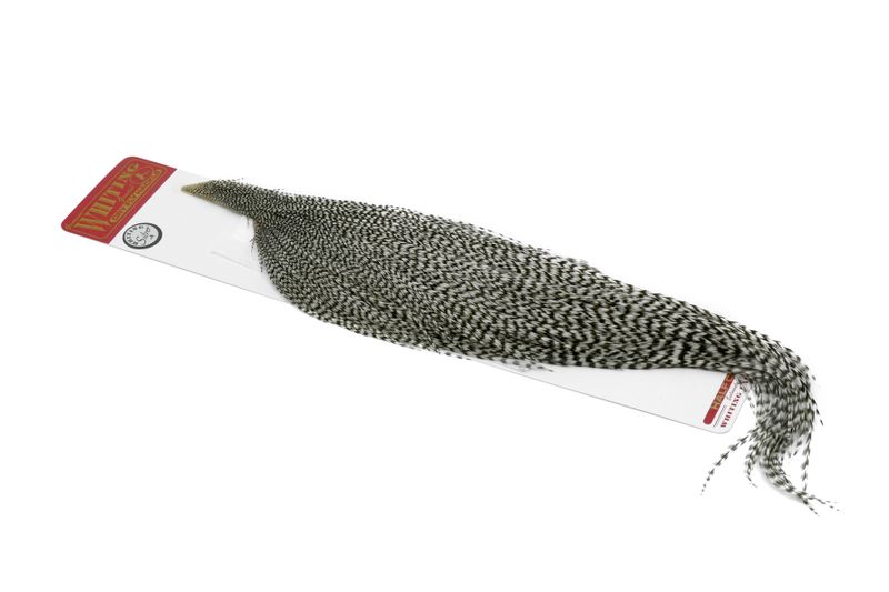 Whiting Silver 1/2 Cape â€“ dealerweb-cms-e9829f5b-868e-493f-b70b-7888b0eb2572.jpg