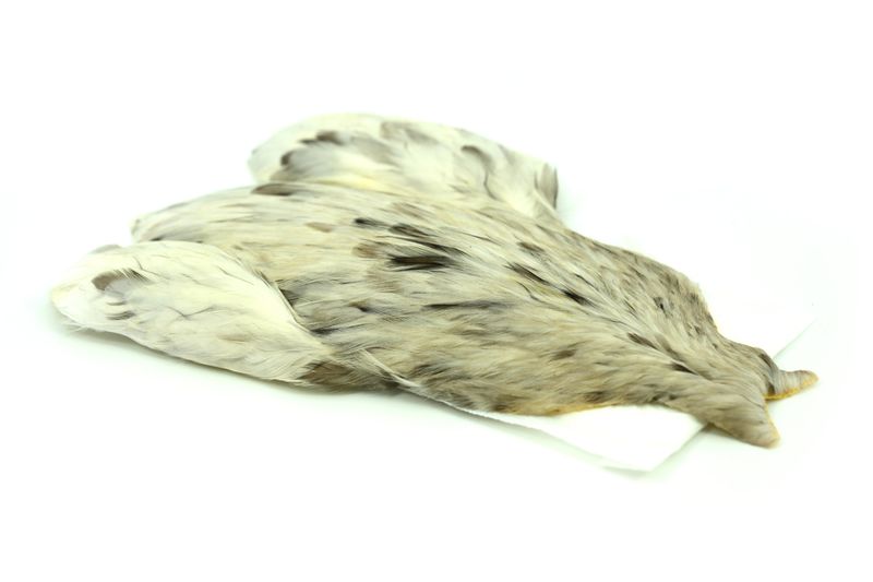 Whiting 4 B's Hen Cape â€“ dealerweb-cms-eabfe58e-5fa3-4c2a-b3b2-0e360ede827e.jpg