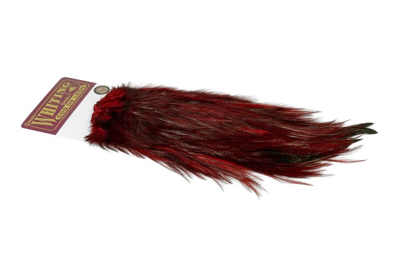 Whiting Coq de Leon Rooster Saddle – Bronze â€“ dealerweb-cms-ead6c472-3fe7-4611-aeb6-76ca1d19f22d.jpg