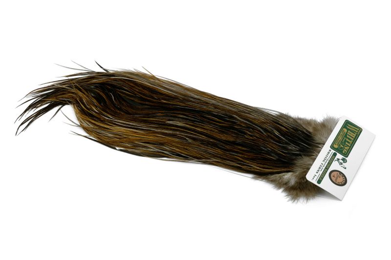 Whiting Hebert Rooster Saddle – Bronze â€“ dealerweb-cms-eb0d1994-92ca-4a2c-8e6a-6db986dfa224.jpg