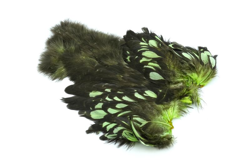 Whiting American Hen SH/C â€“ dealerweb-cms-eb56de1b-a709-406a-8f81-cfc288aa69ff.jpg