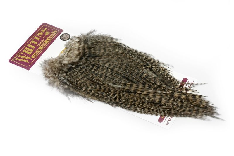 Whiting Coq de Leon Rooster Saddle – Silver â€“ dealerweb-cms-eb97d348-172b-42e5-84c5-7860982a301f.jpg
