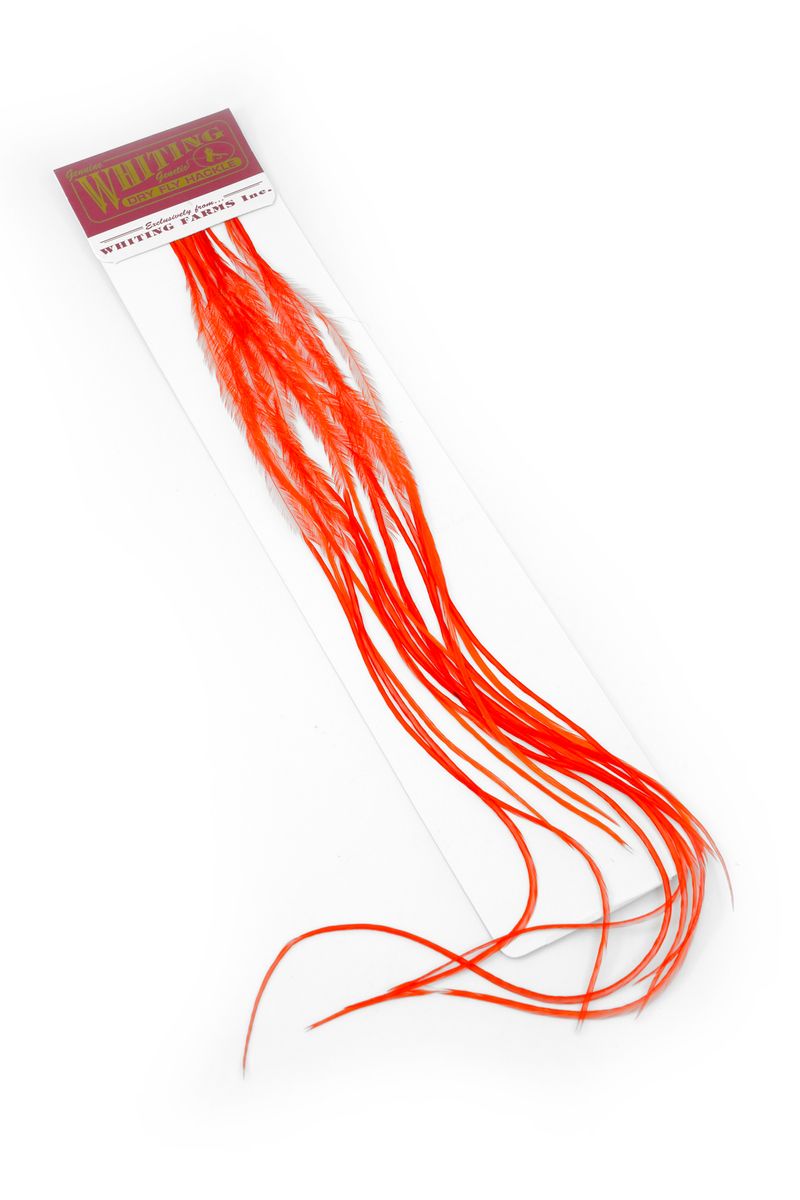 Whiting 100-pk – Size 20 â€“ dealerweb-cms-eca3b7a6-9963-4020-8571-8ff2e55607fd.jpg