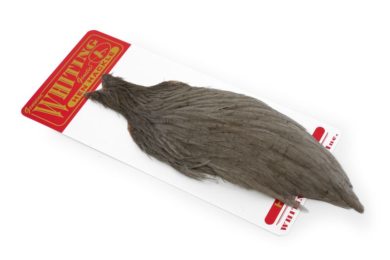 Whiting Hen Cape â€“ dealerweb-cms-ecf0a4be-bee5-4619-a37d-d10772de1736.jpg
