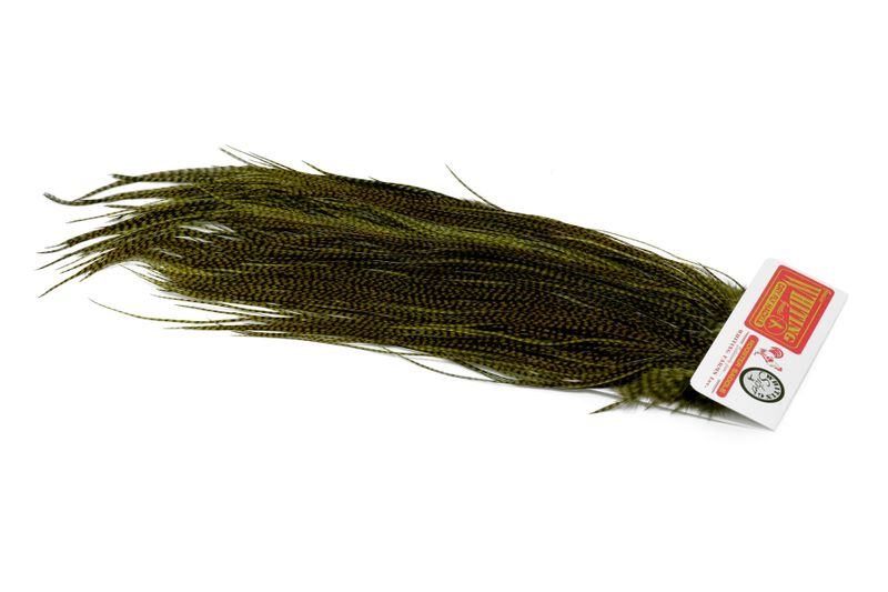 Whiting Silver Midge Saddle â€“ dealerweb-cms-ed621e35-496d-4f0e-a1f8-2479339b36c2.jpg
