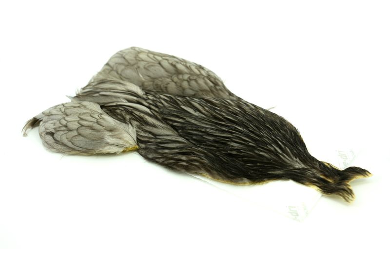 Whiting 4 B's Hen Cape â€“ dealerweb-cms-f01bac97-e3ae-44a7-bf14-fa9e1a6b32b7.jpg