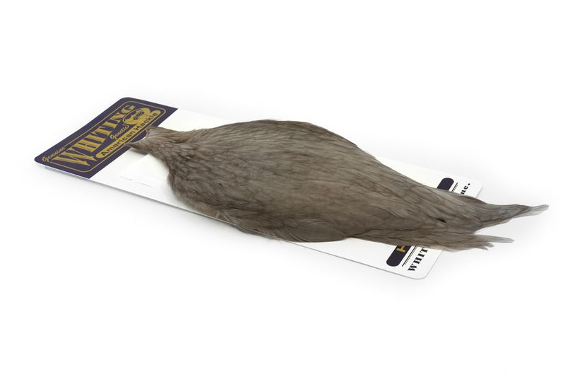 Whiting American Hen Cape â€“ dealerweb-cms-f0bb4031-b0db-4b8e-8b87-371322e1acc7.jpg