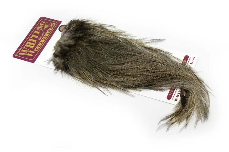Whiting Coq de Leon Rooster Saddle – Gold â€“ dealerweb-cms-f39ab8bb-2fe3-49ee-9550-aa465ccf9695.jpg
