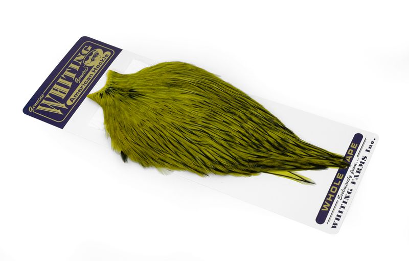 Whiting American Rooster Cape â€“ dealerweb-cms-f5d7ab55-56ea-4390-9875-1929aa6421c3.jpg