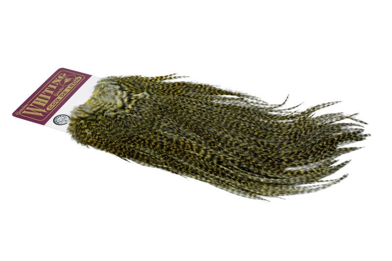 Whiting Coq de Leon Rooster Saddle – Silver â€“ dealerweb-cms-f78b367e-d333-447d-86f8-95353dd42a0f.jpg