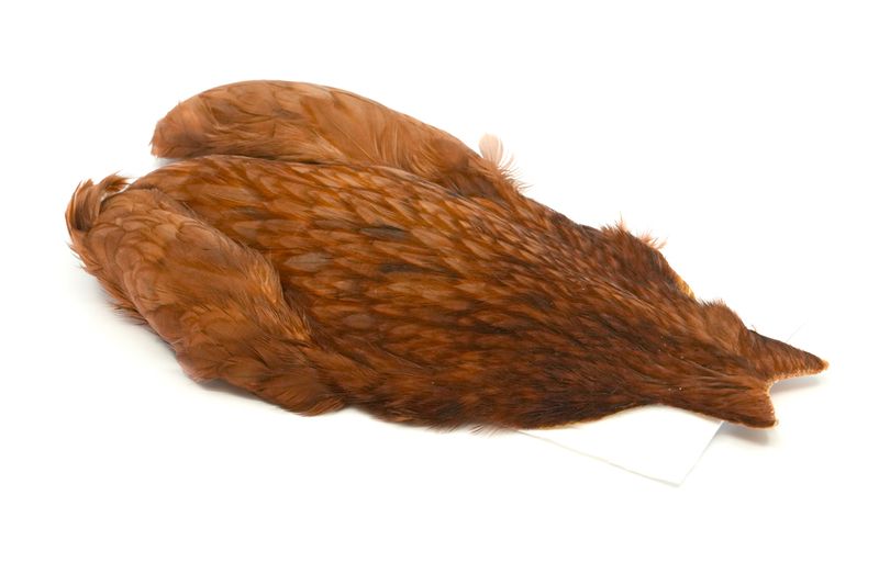 Whiting 4 B's Hen Cape â€“ dealerweb-cms-f7c0309b-526c-422b-8c37-708693a34ec3.jpg