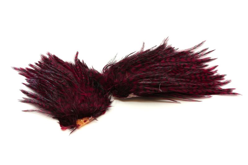Whiting American Streamer Pack â€“ dealerweb-cms-f98e9ddd-52a4-4698-be11-69360a8b77c2.jpg