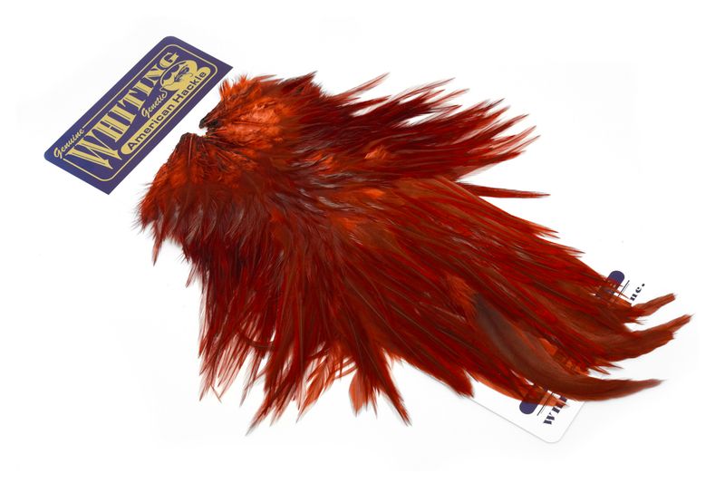 Whiting American Rooster Saddle â€“ dealerweb-cms-fa7872f5-c723-4513-a106-391949e7255a.jpg