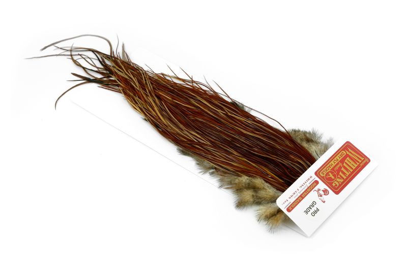 Whiting Pro Grade Midge Saddle â€“ dealerweb-cms-fb4153b9-cd0f-463b-9084-a34416d5811a.jpg