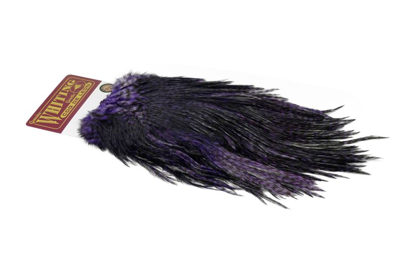 Whiting Coq de Leon Rooster Saddle – Bronze â€“ dealerweb-cms-fbcb5da8-5f81-4978-8d97-fb83745c8ed8.jpg