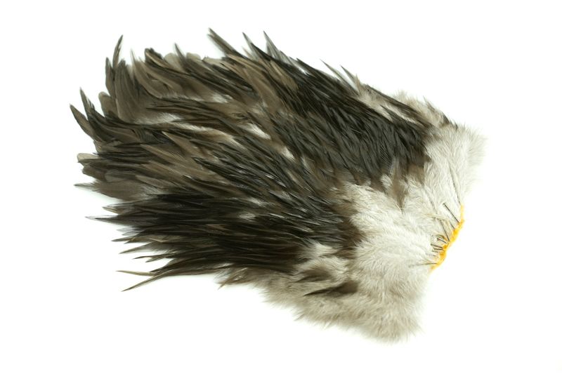 Whiting 4 B's Rooster Saddle â€“ dealerweb-cms-fcb5827b-fded-4f9f-a30d-1288f966af53.jpg