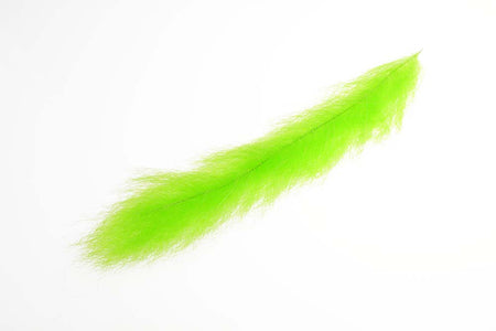 You added <b><u>Steve Farrar 5