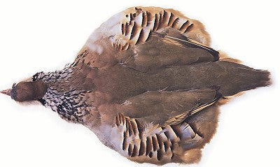 You added <b><u>French Partridge - Whole bird</u></b> to basket.