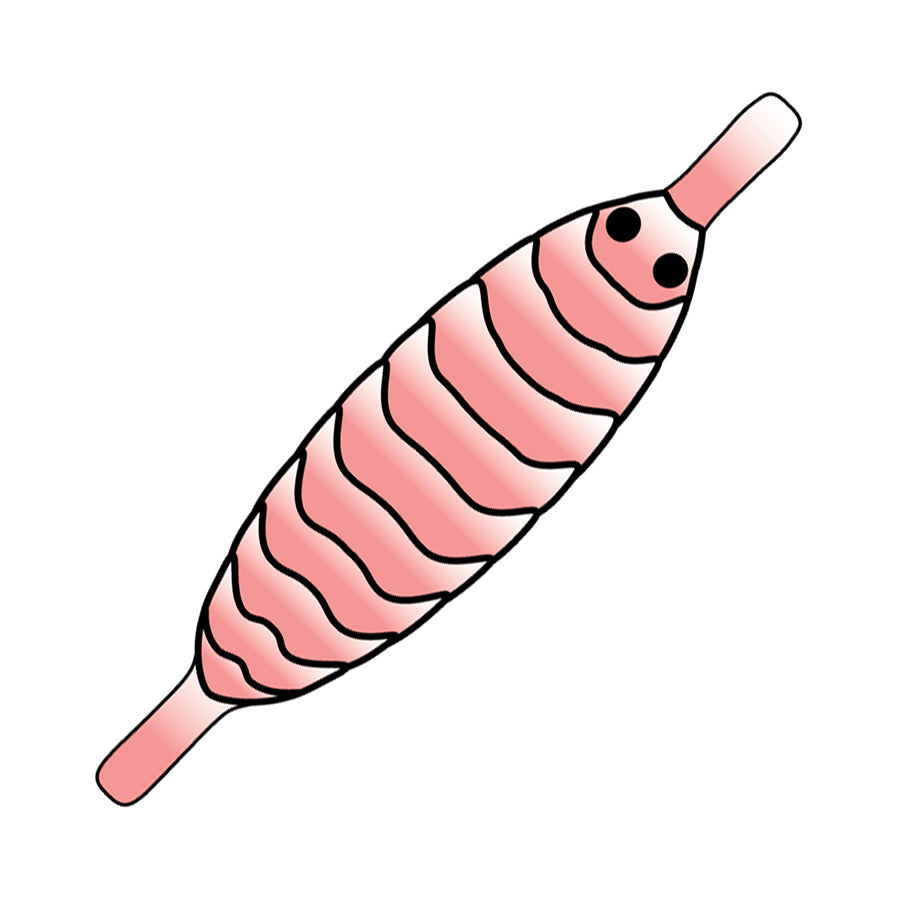 Pro Gammarus skjold - Shell Pink