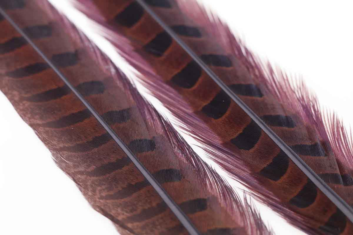 Ringneck Pheasant tail 1 Pair - Chocolate Brown