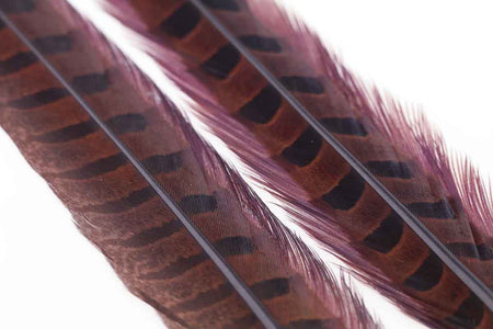 You added <b><u>Ringneck Pheasant tail 1 Pair - Chocolate Brown</u></b> to basket.